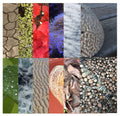 Digital Downloadable Collage Papers - Texture & Pattern in Nature 1