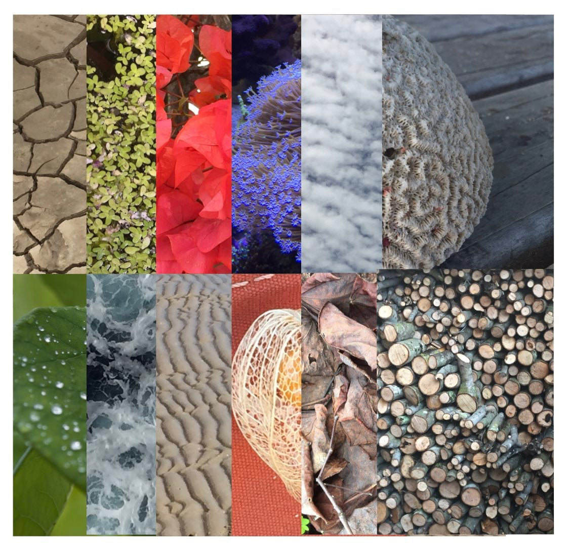 Digital Downloadable Collage Papers - Texture & Pattern in Nature 1